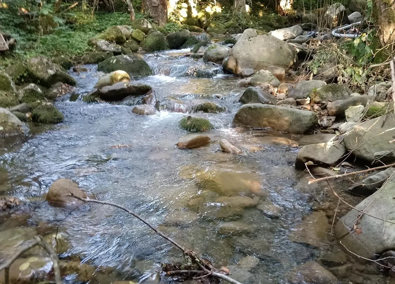 Wild Camping Albareto Albareto  Albareto (Parma)